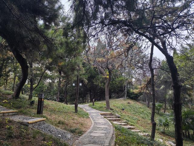 洛阳八大景之平原朝游—青云易散，任凭雨打风吹去