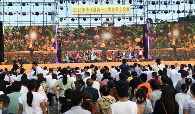 不到华坪来 不知芒果香