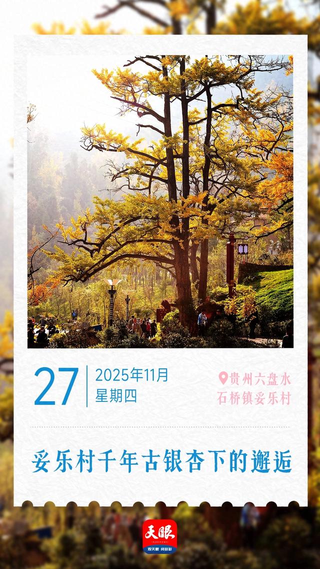 11月27日｜贵州之旅