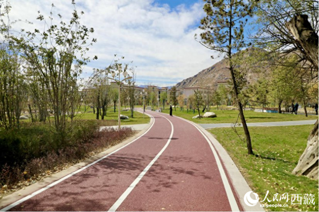 拉萨青年林卡公园——走，一起去吸氧！