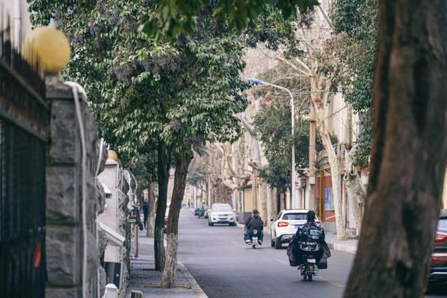 坐着BRT，逛吃临沂！这趟公交慢游，藏着整座城的烟火~