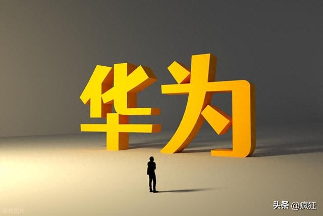 为什么要支持华为，难道就不能支持一下友商吗