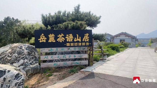 岳麓茶语山居：特色文旅 多彩体验