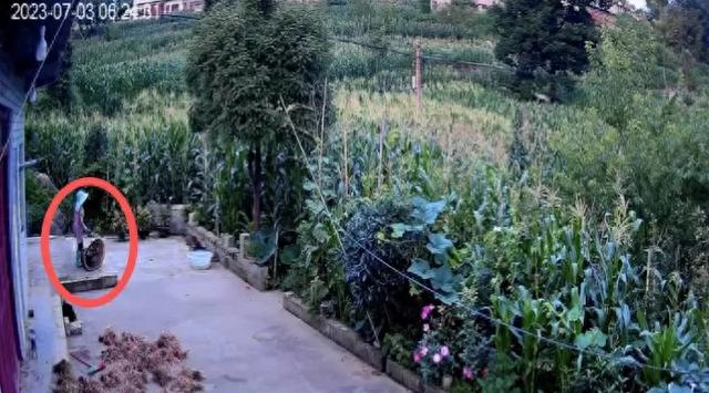 贵州农妇反抗猥亵被杀害,凶手竟淡定参与找人,一件事让他崩溃:有人讲出杀人细节,他躲在墙角默不作声