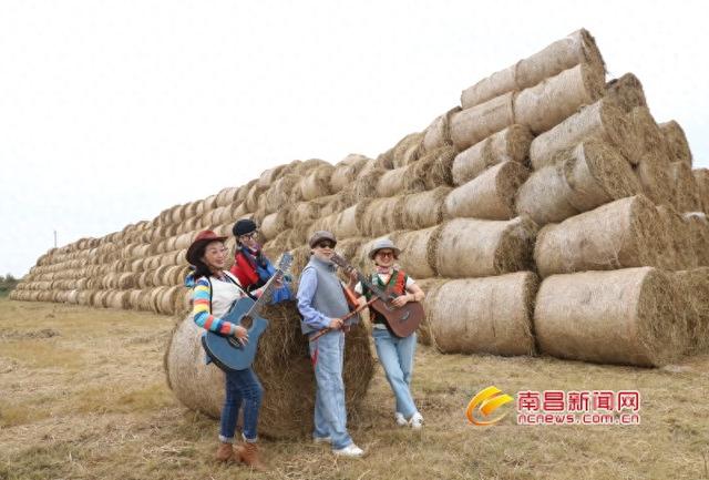 稻草堆成“瑞士卷” 游玩打卡乐陶陶