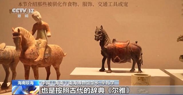 博物馆里也有“动物世界” 看文物中的“瑞兽祥禽”