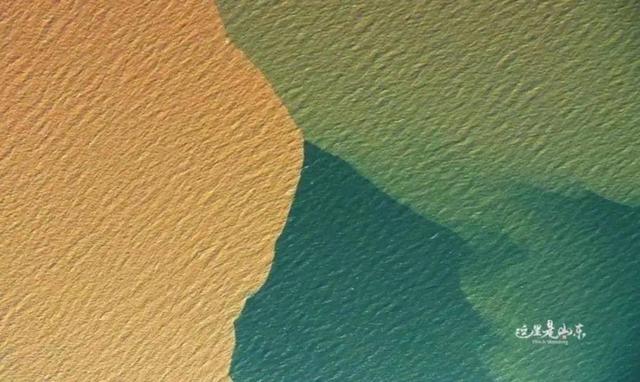 探寻沿黄九市的美景美食和文化密码，邂逅一场“山东式浪漫”