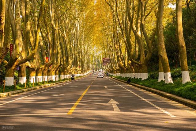 11月适合去哪里旅行，这5个地方，全是深秋时节好光景
