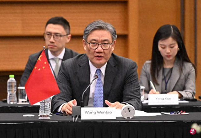 中国与欧盟达成共识，安世半导体的事，荷兰政府最好别插手