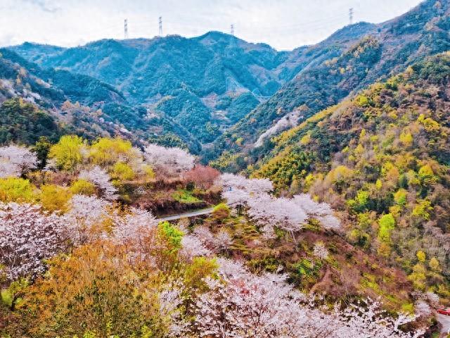 新县墨河大峡谷：四季轮回中的梦幻之境