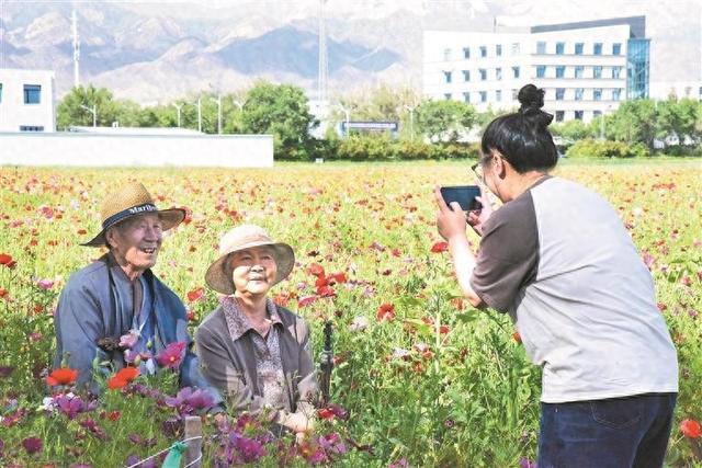 德令哈：“花海”引客来 生态观光拓路宽