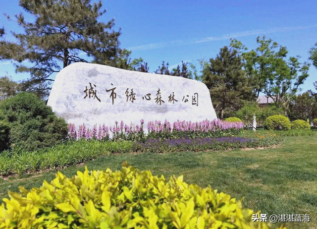 现在北京绿心公园的红叶红了没有？好看吗？从P6停车场咋去红叶道