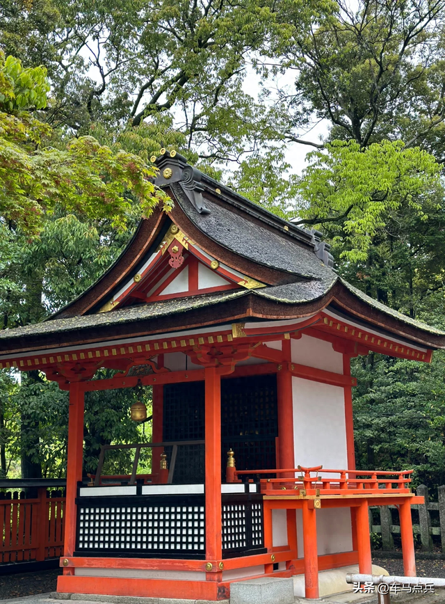 中国台湾阿姨，在日本神社拍照打卡出事，网红景点要命设计该改了