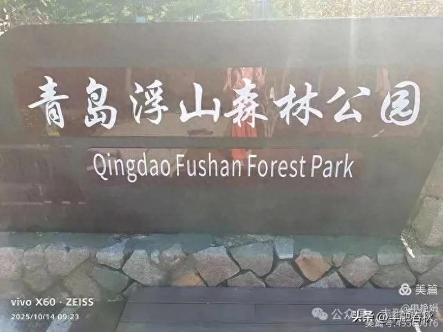 浮山漫记：藏在青岛城央的自然诗篇｜申艳娟
