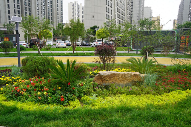 新城区101公园：都市中的自然乐园