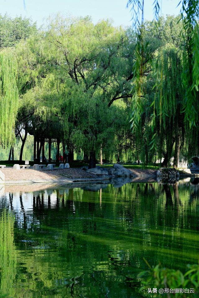 达活泉公园绿草如茵，碧波荡漾（图）