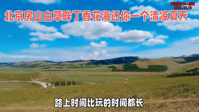 逃离蓝色房子攻略（逃离城市）