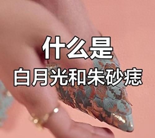 白月光是什么意思特指什么人（白月光和朱砂痣啥意思一个是没得到）