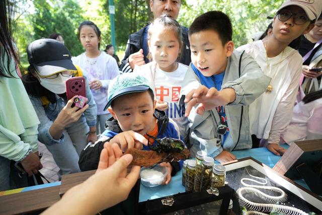 自然教育市集开市 北京少年宫打造生态科技科普盛宴