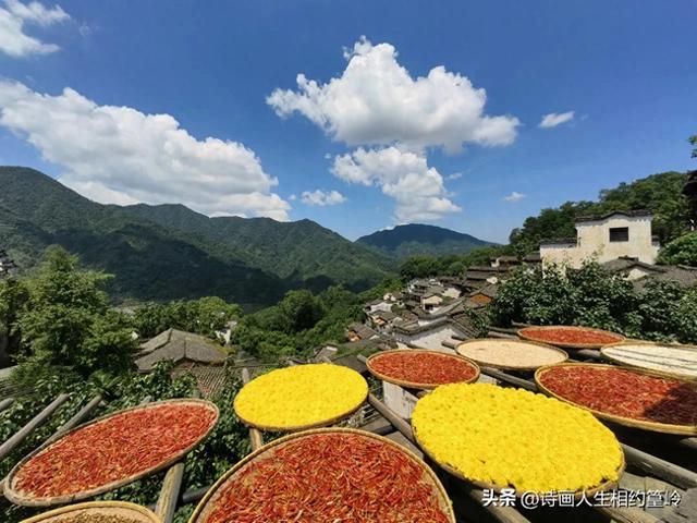 晴有晴的好，雨有雨的妙