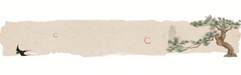 长寿男人一般有6个爱好，如果你占了3个以上，或许就是长寿体质