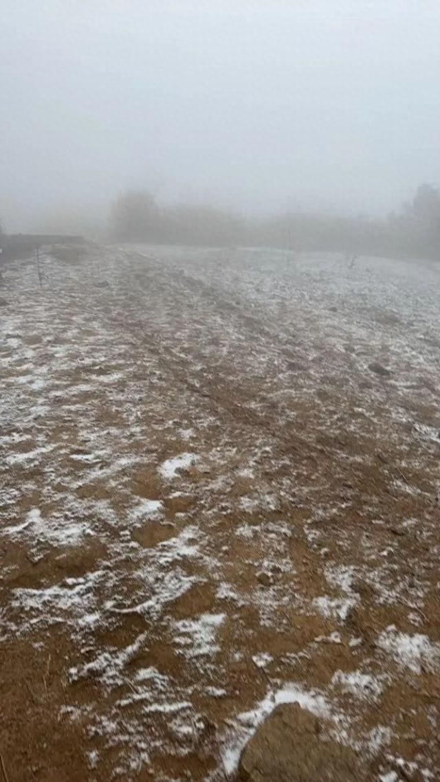 今天凌晨，浙江这里下雪了！