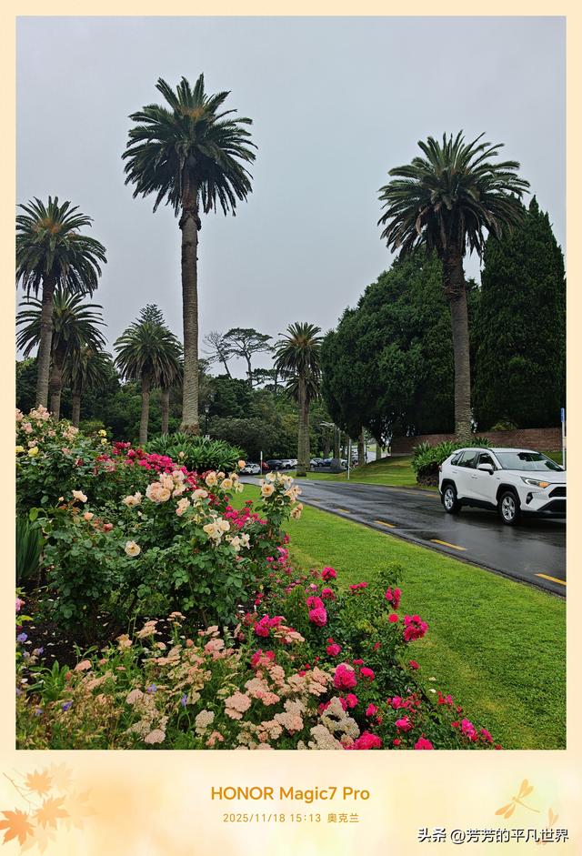 奥克兰中心花园的浪漫