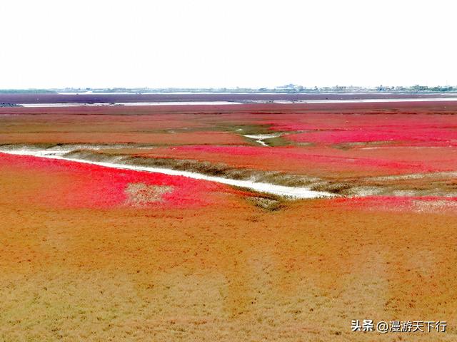 分享一个免费的红海滩，景色一点不差盘锦红海滩，