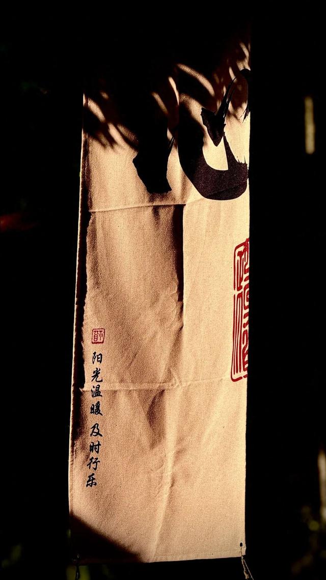 你一声秋不晚，我便到了真江南｜姑苏寻秋