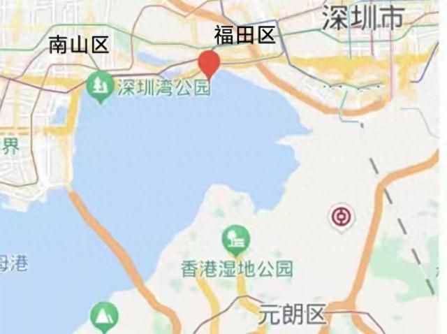 快乐的25/26深圳湾候鸟季