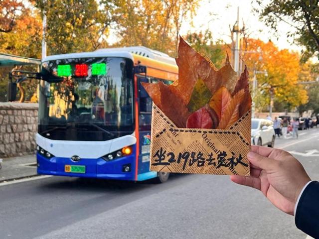 市北巴士219路：开进金色童话的公交车