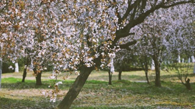 一年四季，哪个季节景色最美？