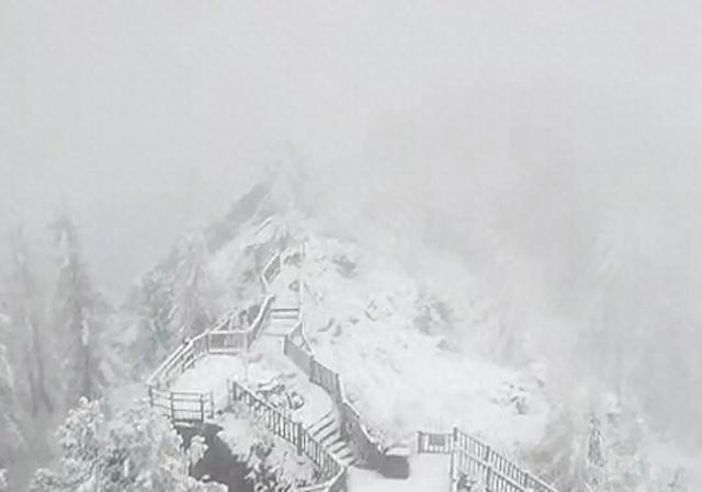 多地突降大雪！景区暂停开放！新台风“麦德姆”已生成……