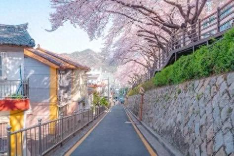 皇家加勒比游轮来蓉揽客 焕新“海洋光谱号”推出全新目的地