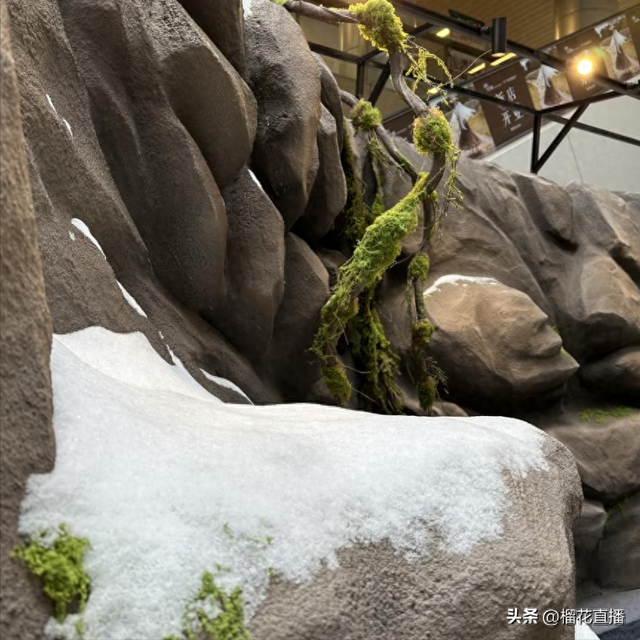 文旅+科技：“方寸奇境·南五台”开启沉浸式实景XR云游新体验