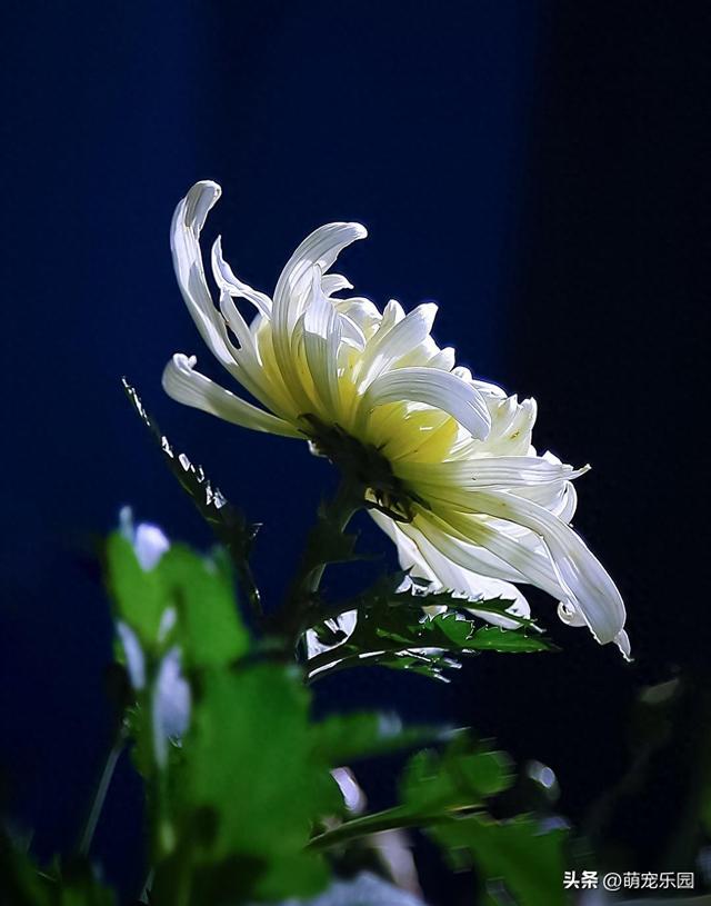 摄影追求清爽感	，高手走减法路线，果断舍弃刺眼元素