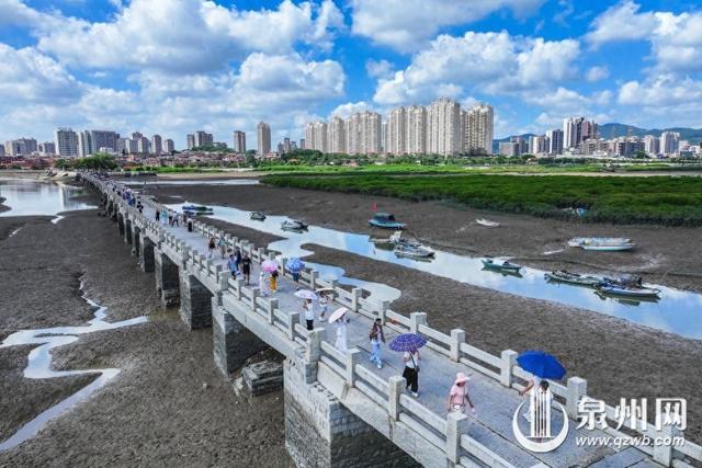 洛阳桥的国庆序曲：红树林、蓝天白云与游人的诗画之约