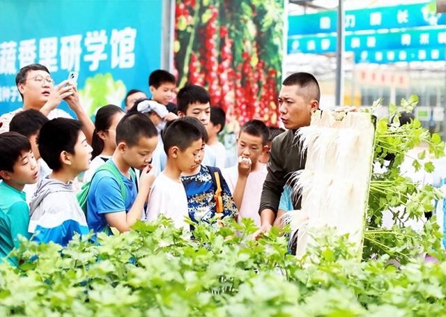 【潍坊寿光】“双节”叠加氛围浓 文旅市场活力足