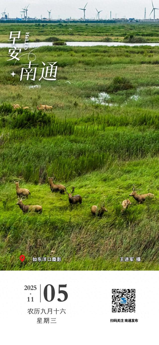 第138届广交会南通分团成果丰硕 | 南通早七点