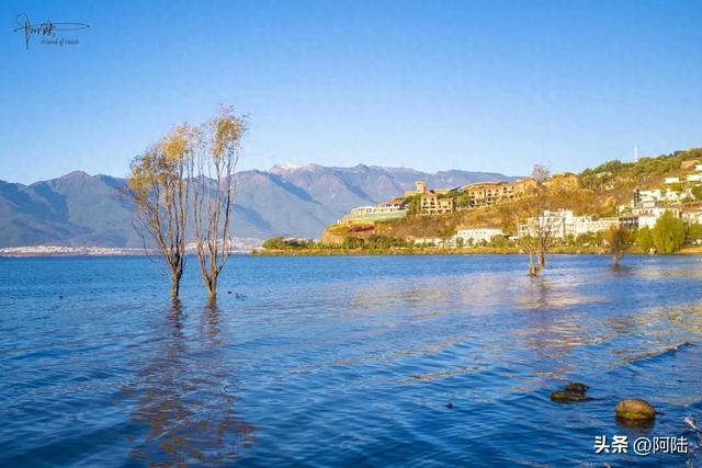 洱海的湿地公园很多,这几座孤岛风景不错,只是唯一的浮桥太晃荡