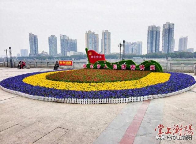 看！解放路观景台立体花卉景点俏丽“开屏”