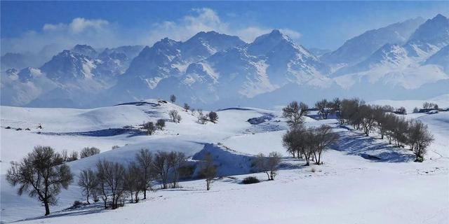 新疆江布拉克雪景，晨曦轻抚白线条，游客被纯净美景震撼