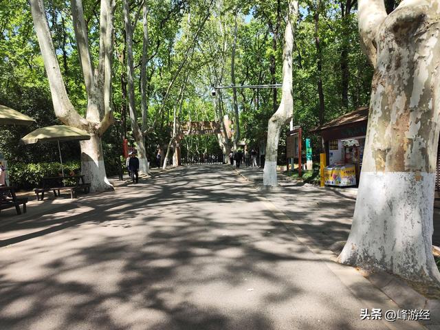 探秘钟山灵谷寺，六朝千年古刹，明太祖为修陵园迁建于此