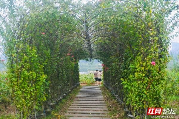 秋游时刻丨在湖南省植物园，听到了园丁们唱岀来的秋之歌
