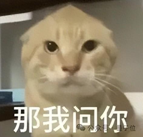 什么是真正好用的推理模型？阶跃Step 3给出了答案