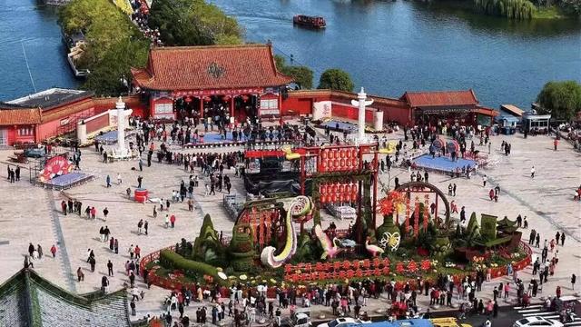 西北首秀绽异彩 米东区获第十五届中国菊花展览会金奖