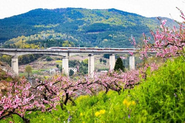 中国铁路成都局：3款旅游计次票串联范围拓展至40个车站