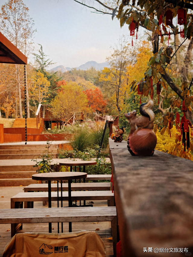 【乐游烟台】此时此刻，烟台醉美赏秋地出现了