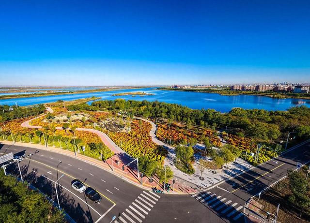 镜头丨中新天津生态城白鹭洲公园地肤草“换装”：秋日限定美景引客打卡