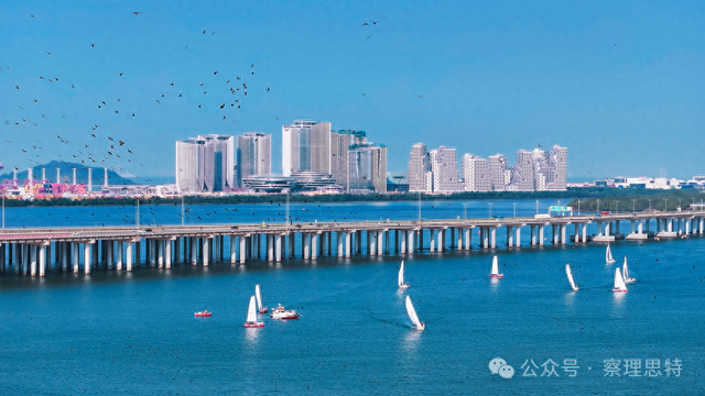 “企鹅岛”解锁30%，未来科技城来了！
